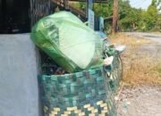Rp4,9 Miliar Anggaran Sampah Percut Sei Tuan, Warga Masih Keluhkan Minim Fasilitas