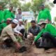 Prosesi penanaman perdana dilakukan secara simbolis oleh Pimpinan Dayah Babul Huda Glee Madat, Abi Gade. (Dok. PT PIM)