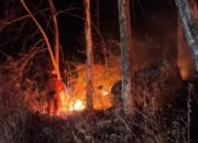 Kondisi lahan yang terbakar di Kabupaten Ponorogo, Jawa Timur pada Jumat (11/9). (Dok. BPBD Kabupaten Ponorogo.)