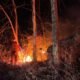 BNPB Ungkap Karhutla di Tiga Daerah, Puluhan Hektare Terbakar