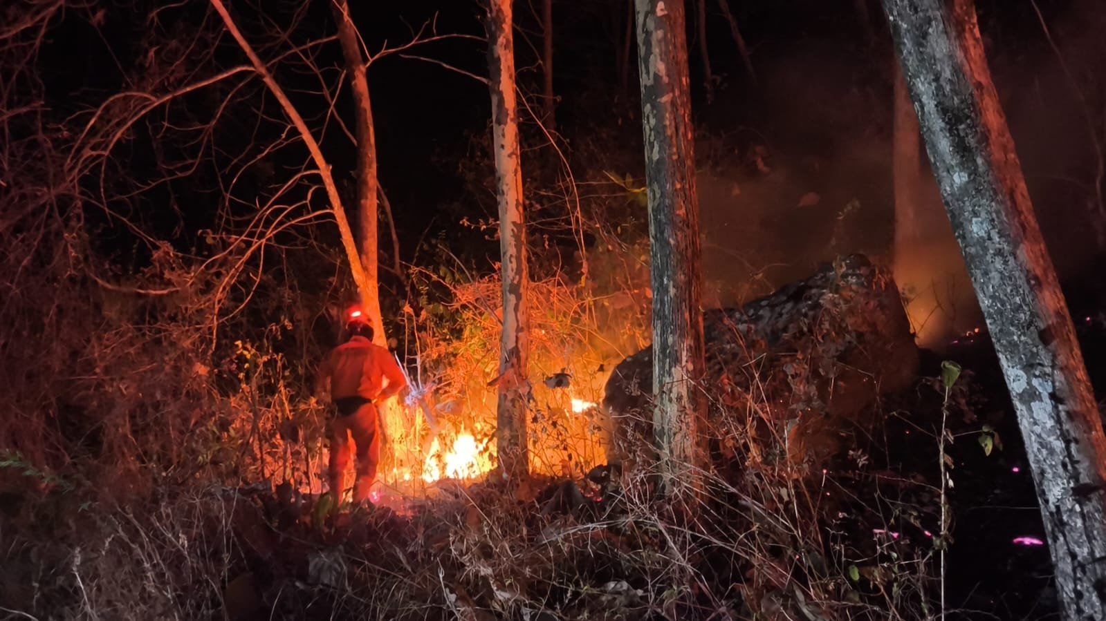 Kondisi lahan yang terbakar di Kabupaten Ponorogo, Jawa Timur pada Jumat (11/9). (Dok. BPBD Kabupaten Ponorogo.)