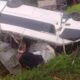 Minibus Diduga Bawa Tandon Berisi BBM Kecelakaan di Aceh Jaya