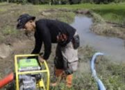 Kementan Perkuat Irigasi Pompa Hadapi Ancaman Kekeringan Perkebunan