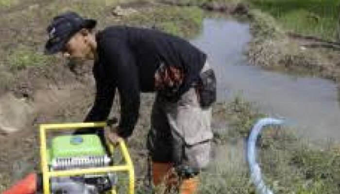 Kementan Perkuat Irigasi Pompa Hadapi Ancaman Kekeringan Perkebunan