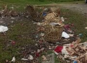 DLH Aceh Barat tangani sampah liar di Pantai Calok Meulaboh