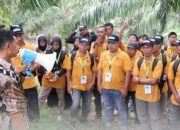 BPI Dan BPDP Gelar Pelatihan untuk Tingkatkan Kemampuan Budidaya Kelapa Sawit Bagi Pekebun Aceh Timur