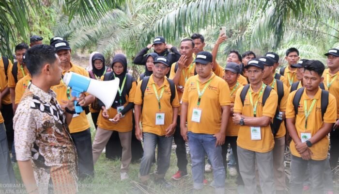 BPI Dan BPDP Gelar Pelatihan untuk Tingkatkan Kemampuan Budidaya Kelapa Sawit Bagi Pekebun Aceh Timur