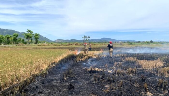 Bencana di Aceh Selama Agustus Rugikan Masyarakat hingga Rp42,46 Miliar