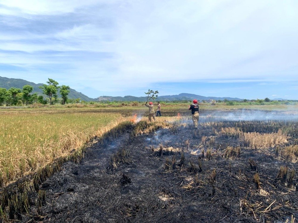 Petugas sedang memadamkan api yang melahap lahan sawah. (Dok. BPBA)