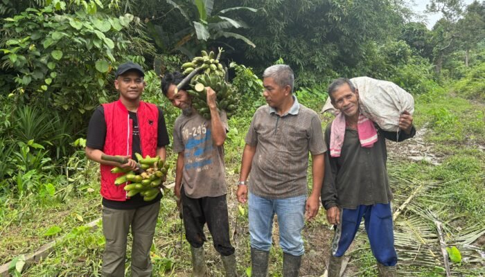 Anggota DPR RI Jamaluddin Idham Tinjau Jalan Pertanian Disimeulue