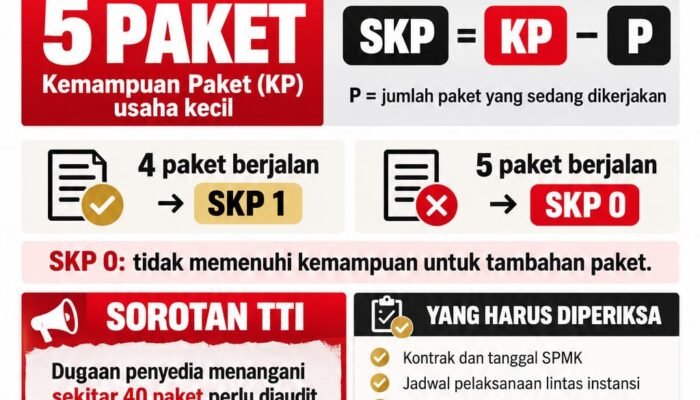 TTI Soroti Dugaan Penyedia Kuasai Puluhan Paket Konstruksi, Desak Audit Kepatuhan SKP