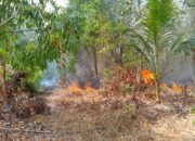 Kondisi lahan yang terbakar di Kelurahan Surutanga, Kecamatan Wara Timur, Kota Palopo, Provinsi Sulawesi Selatan, Senin (12/10). (Dok. BPBD Kota Palopo)