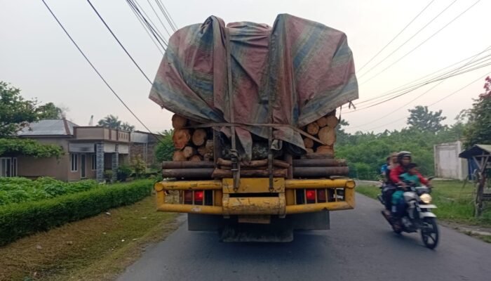 Truk Bermuatan Kayu Gelondongan Melintas di Permukiman Percut Sei Tuan, Warga Khawatir