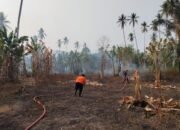 Tim gabungan berupaya memadamkan kebakaran hutan dan lahan yang terjadi di Kelurahan Labia Bae. (BPBD Kabupaten Tojo Una-Una)
