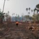BNPB Catat Kebakaran Lahan di Tiga Provinsi, Luasnya Capai 7 Hektare