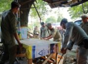 Satpol PP dan WH Aceh Besar sedang melakukan pembongkaran bangunan liar. (Dok. Humas Pemkab Aceh Besar)