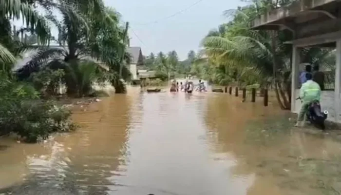Banjir Aceh Selatan Capai Paha Orang Dewasa, Empat Gampong Terdampak