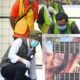 Indonesia Pulangkan Orangutan Korban Perdagangan Ilegal dari India