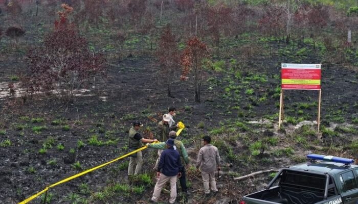 Kemenhut Sanksi 32 Perusahaan Terkait Karhutla, Luas Terbakar 12.926 Hektare