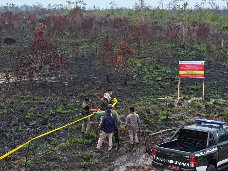Salah satu lokasi yang mengalami kebakaran telah diberikan garis polisi. (Dok. Kementerian Kehutanan)