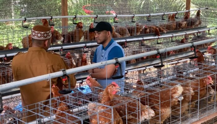 Jamaluddin Idham Tinjau Program Pertanian dan Peternakan di Abdya