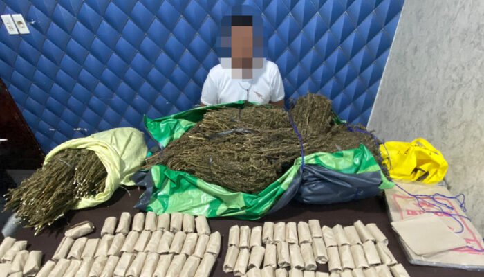 Satresnarkoba Aceh Barat Sita 15 Kilogram Ganja di Gunong Meuh