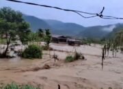 Sejumlah rumah warga di Gayo Lues tergenang oleh banjir pada Rabu (7/9/2026). (Dok. BPBA)